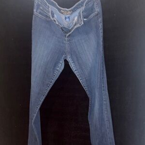 Arizona Jean Company Blue Skinny Jeans